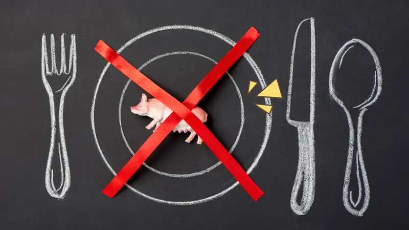 Berita Islam | Berita Islam Terkini | Berita Islam Terbaru